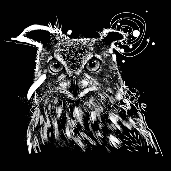 Owl Illustration